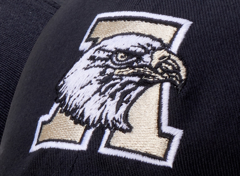 embroidered thread example